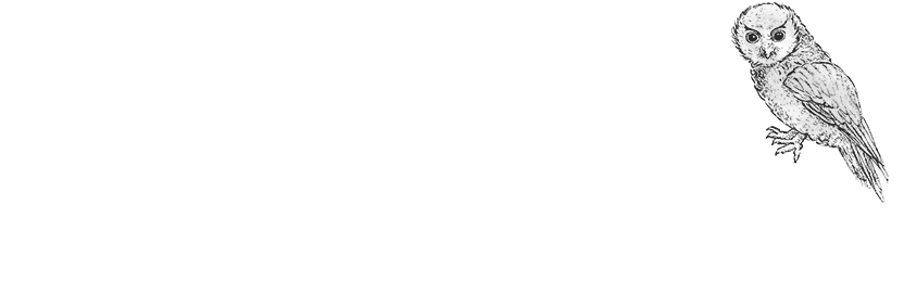 Grey Power Wanganui